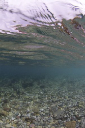 Babbacombe beach. S2 PRO, 10.5mm. by Derek Haslam 